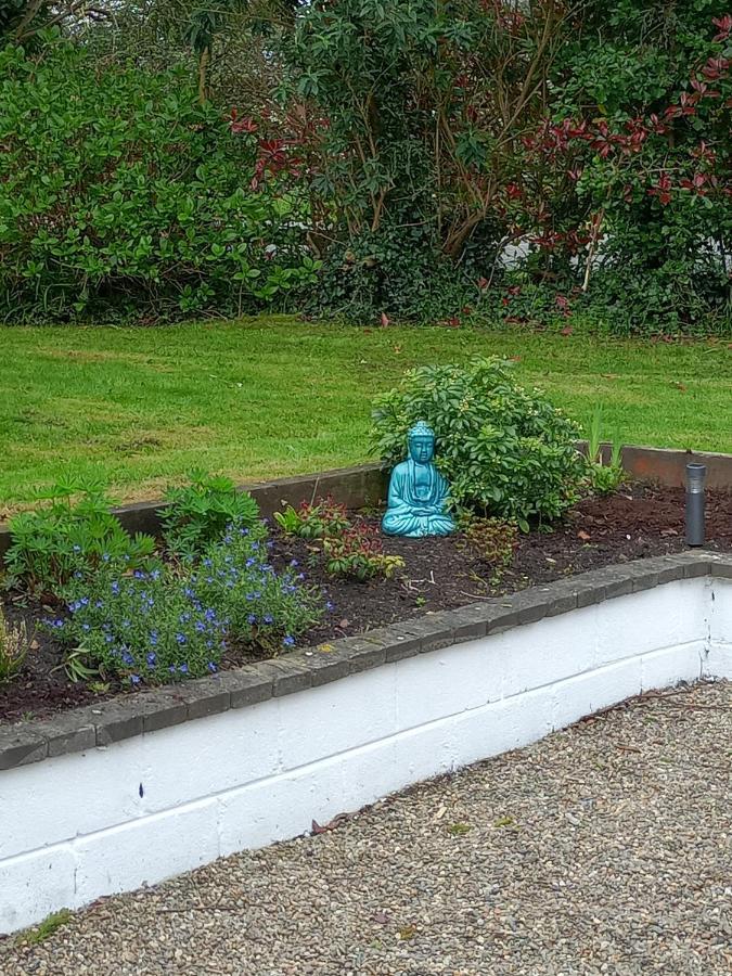 Applelea House Bed and Breakfast Rosslare Harbour Εξωτερικό φωτογραφία