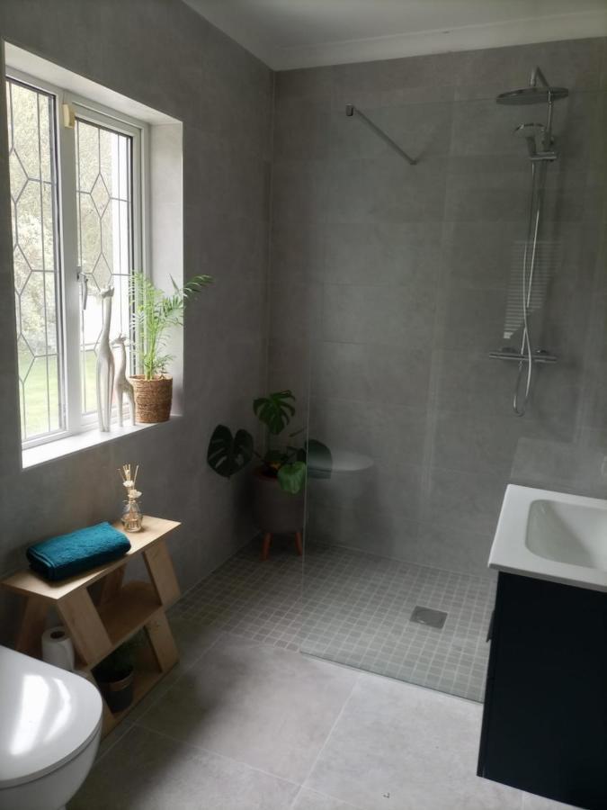 Applelea House Bed and Breakfast Rosslare Harbour Εξωτερικό φωτογραφία