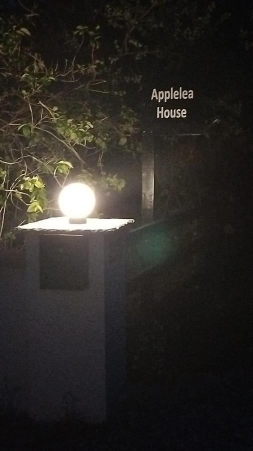 Applelea House Bed and Breakfast Rosslare Harbour Εξωτερικό φωτογραφία